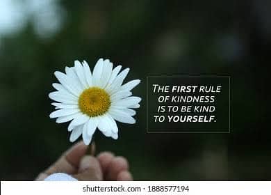 Bilal Bhai 