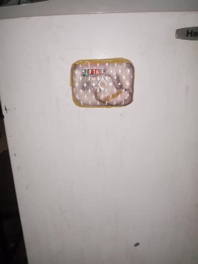 200-300 egga incubator