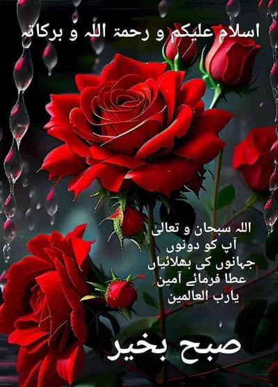 Muhammad Bilal
