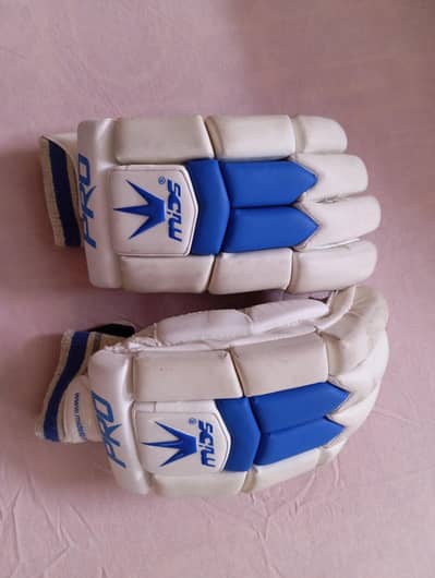 cricket hardball batting gloves big size