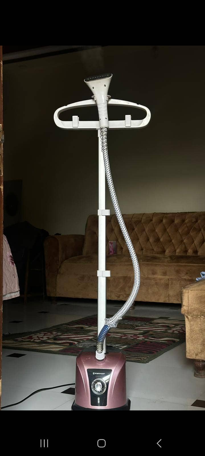 fabric steamer 2