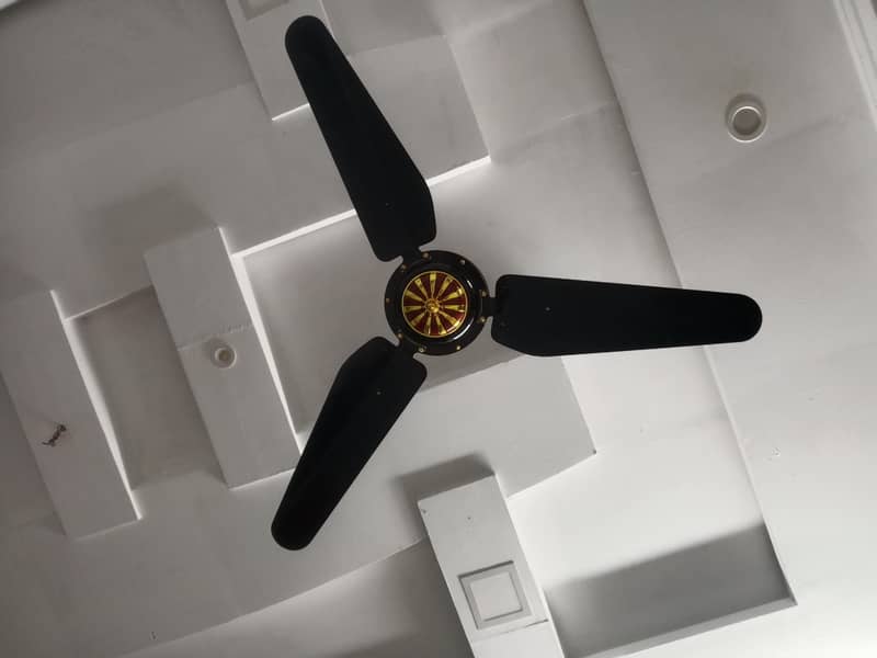 ceiling fan 1