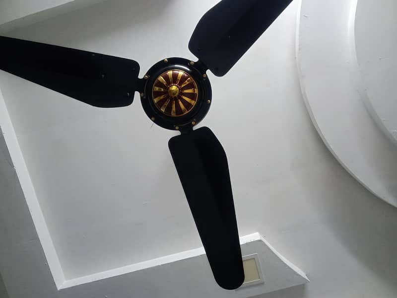 ceiling fan 5