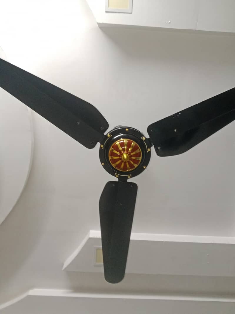 ceiling fan 6
