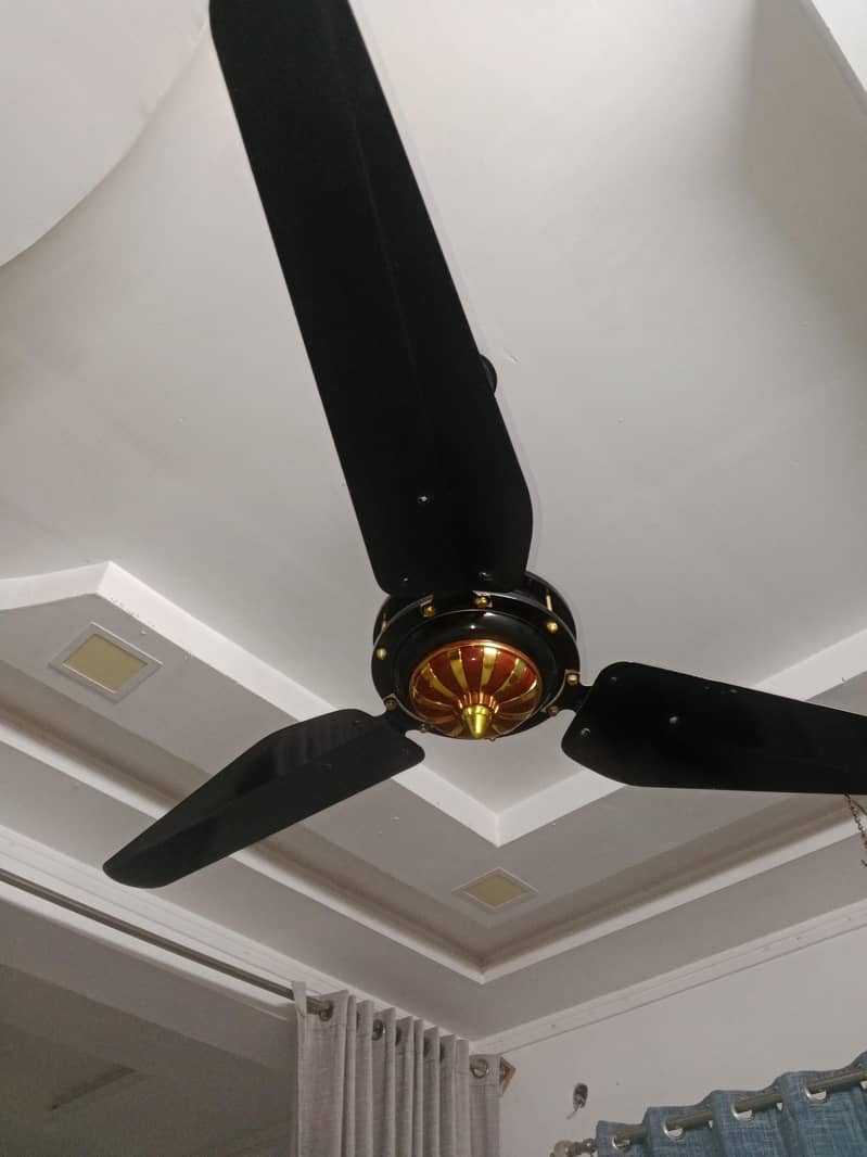 ceiling fan 7