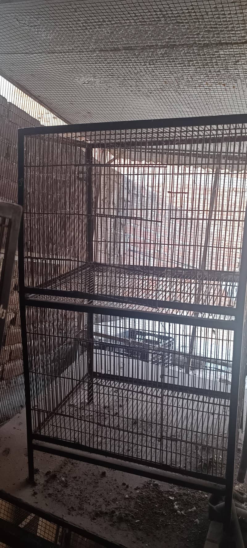 2 portion full angle cage 2