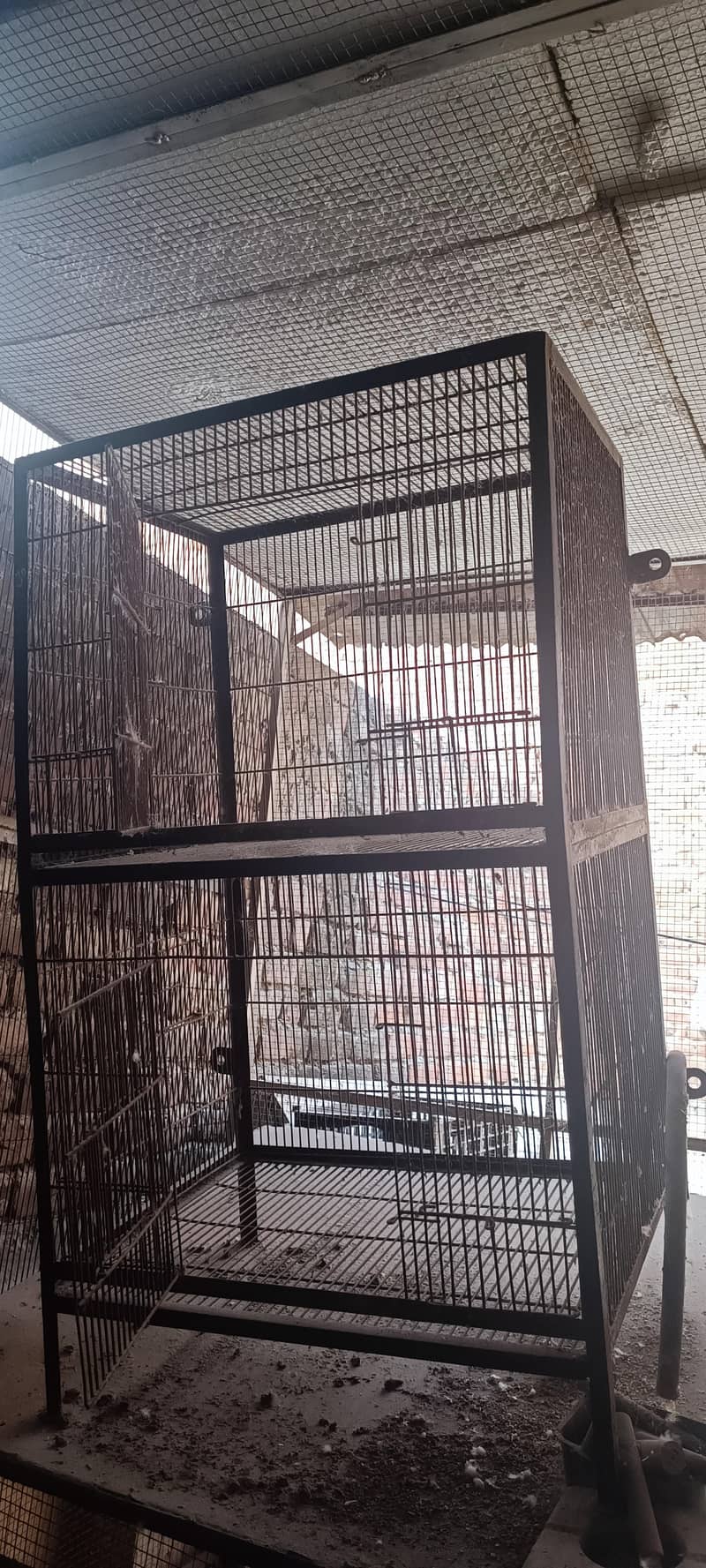 2 portion full angle cage 3