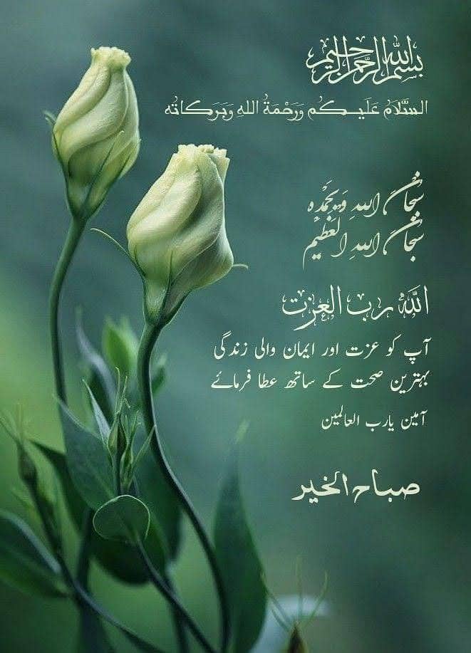 gas cooking Range imported with four barner no any wark 0