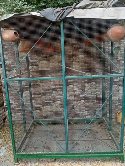 birds cage