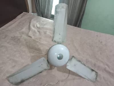 selling fans for sale