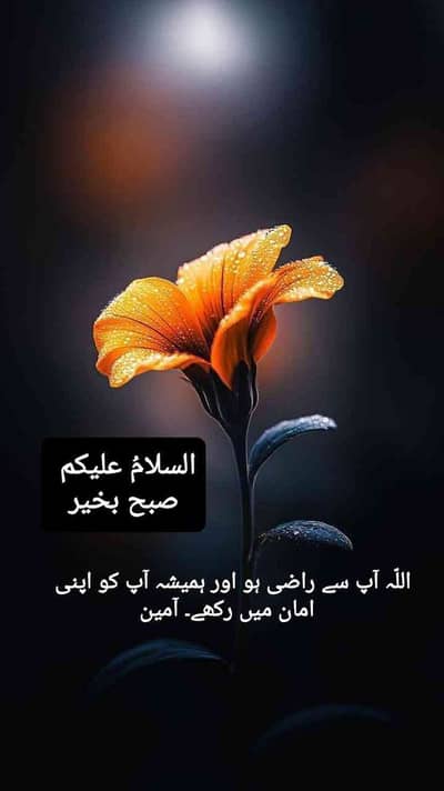 Tariq jameel
