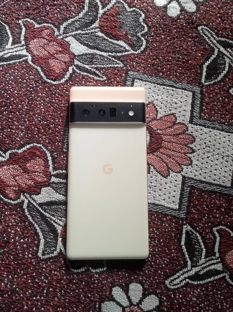 Google Pixel 6 Pro 1