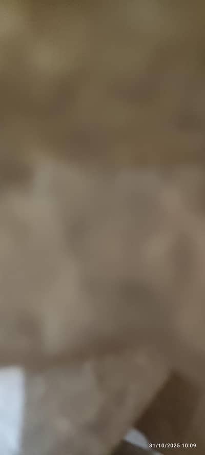 driver chahiye yango indrive k liye