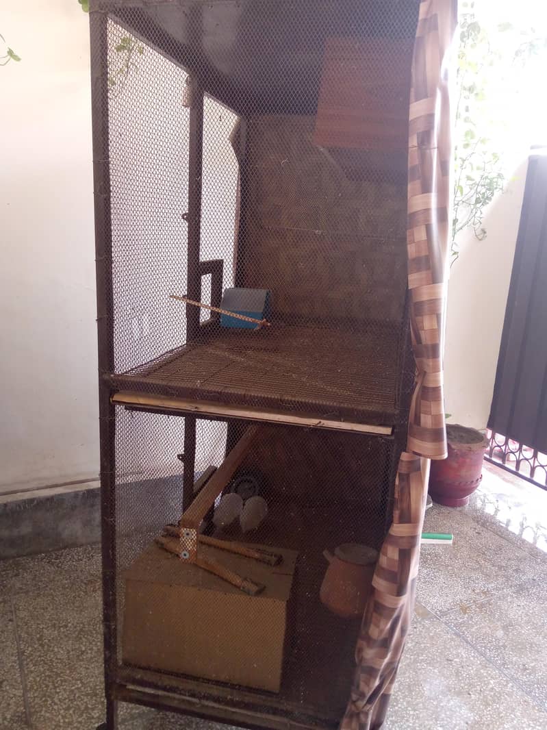 solid  birds cage 1