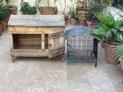 cage for hens,cats, puppies and parrots (darba an cage)