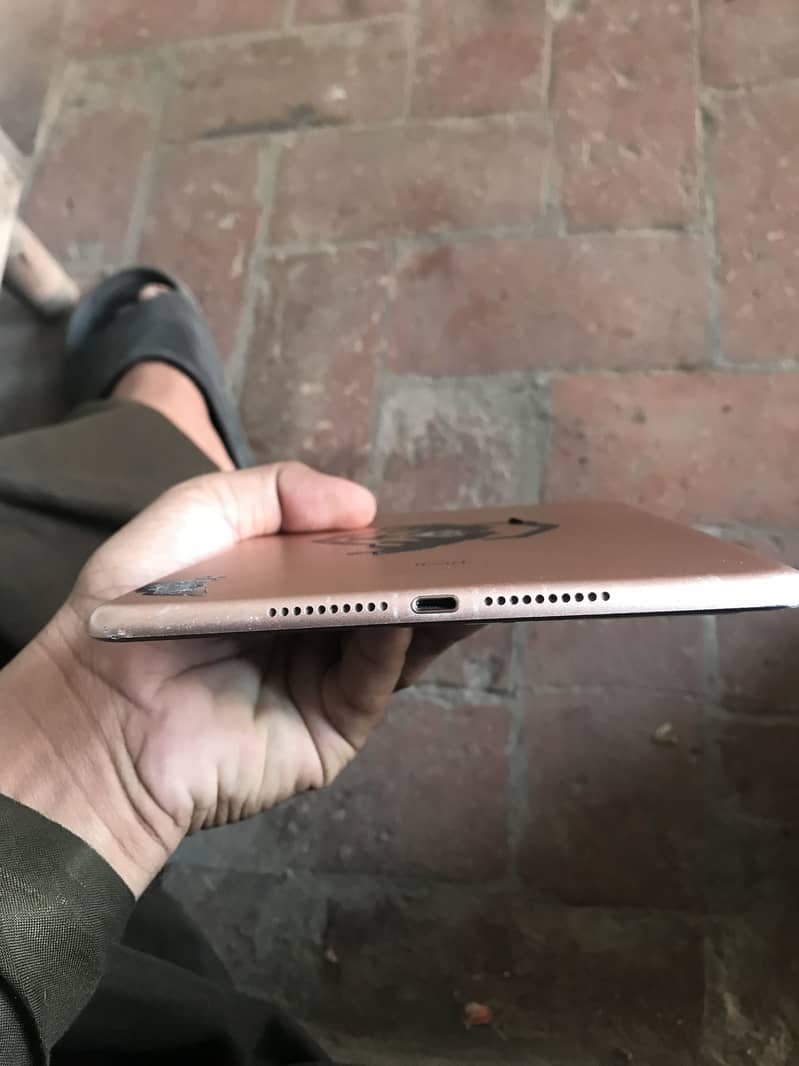 IPad mini 5 0
