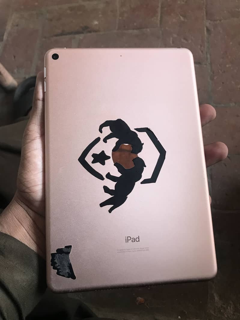 IPad mini 5 1