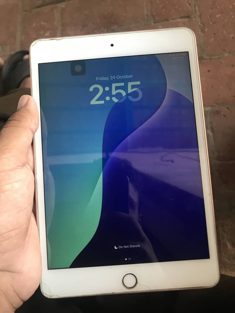 IPad mini 5 2