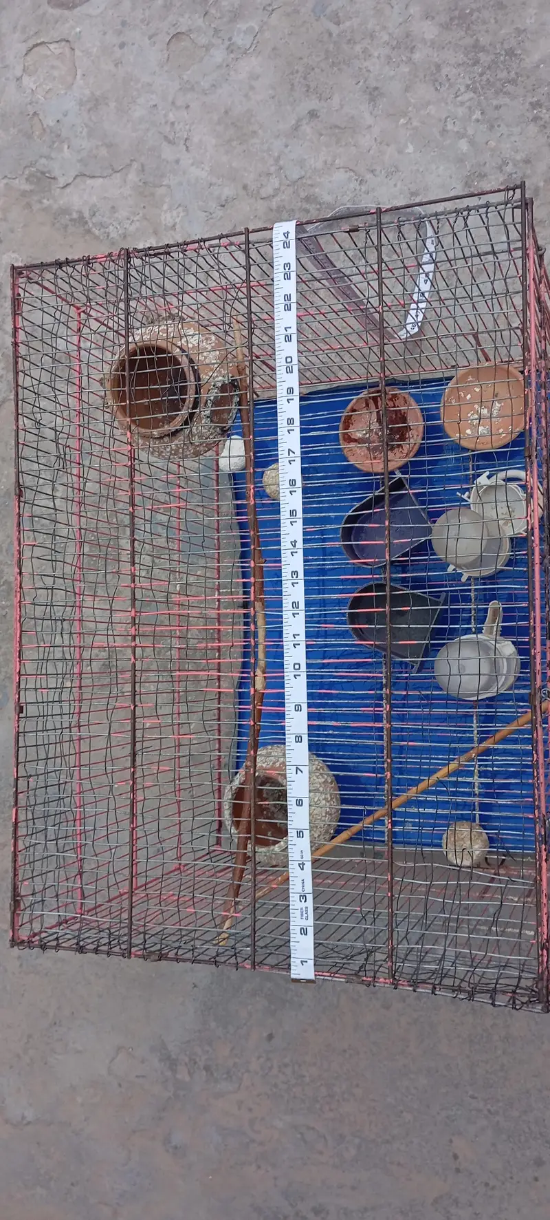 Cage 1.5/2