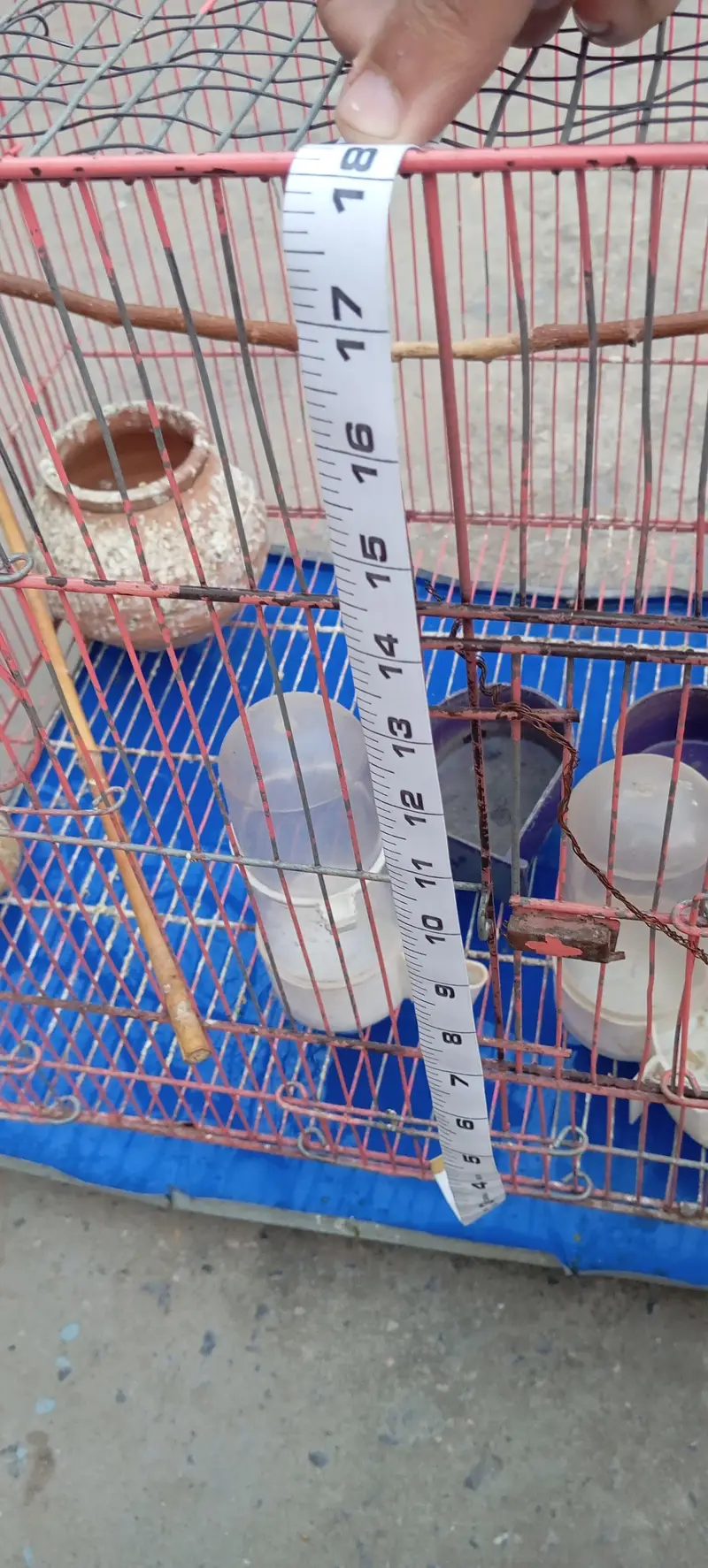 Cage 1.5/2 — photo 2