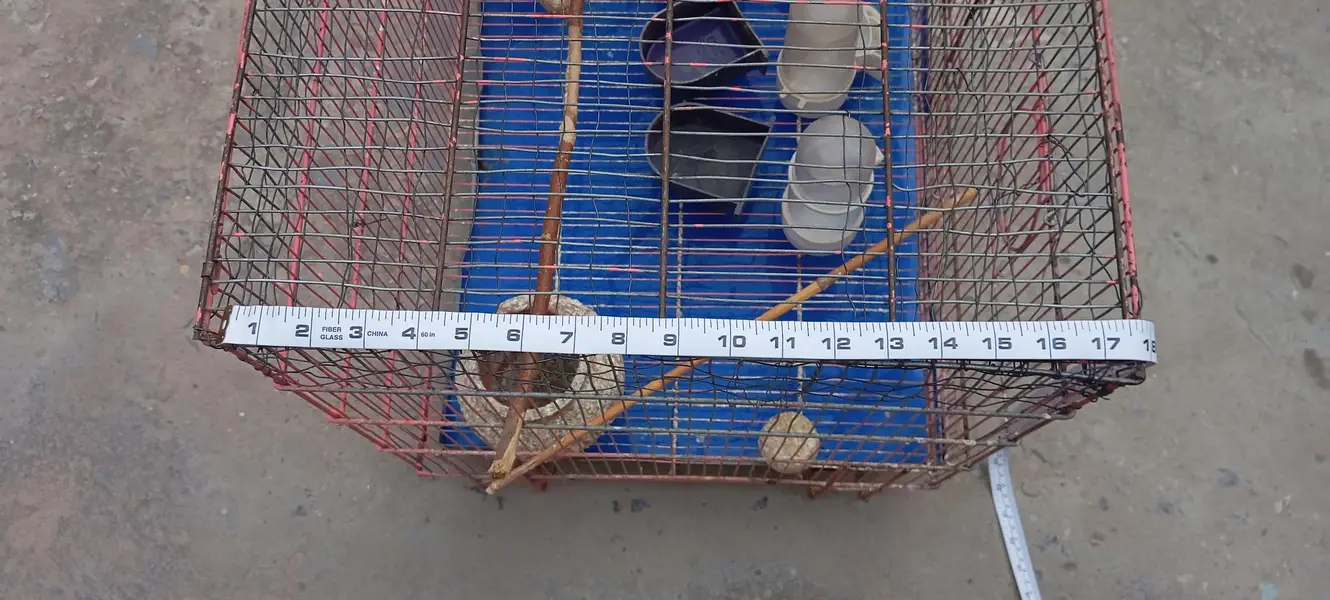 Cage 1.5/2 — photo 3