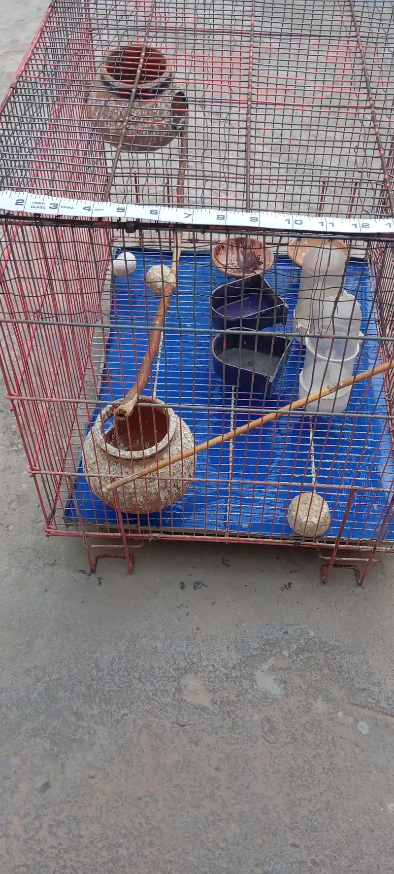Cage 1.5/2 — photo 4