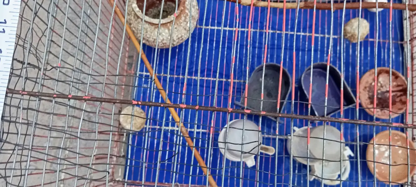 Cage 1.5/2 — photo 8