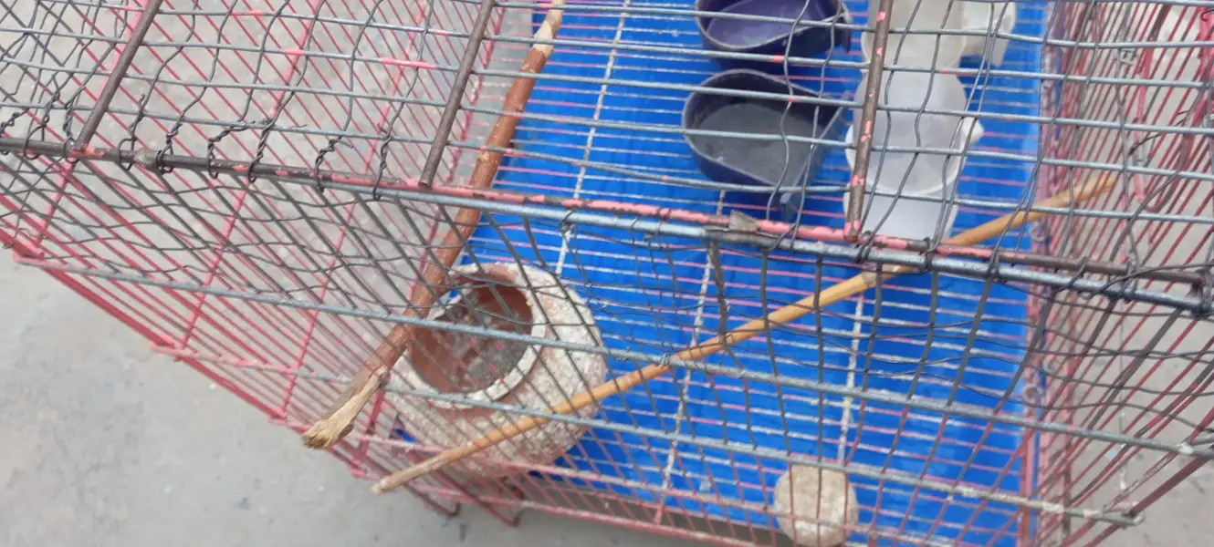 Cage 1.5/2 — photo 9