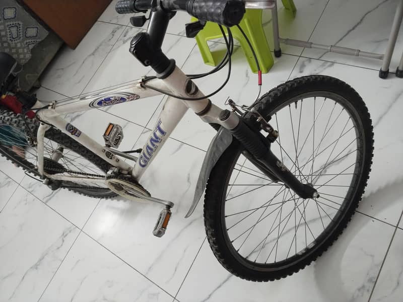 Giant original cycle 1