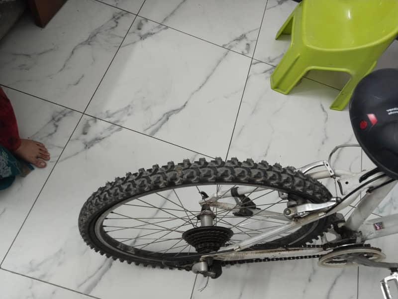 Giant original cycle 2