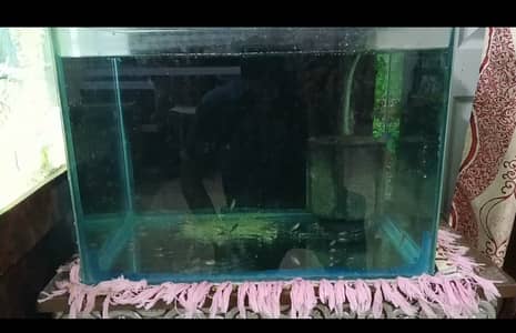 1.5x1x1 feet aquarium