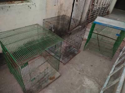 Cages for sale in Rawalpindi