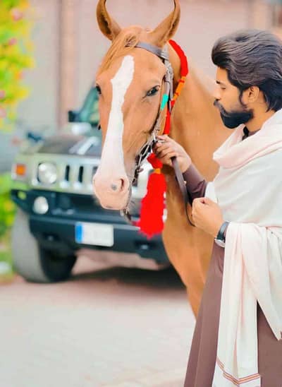 Husnain jutt