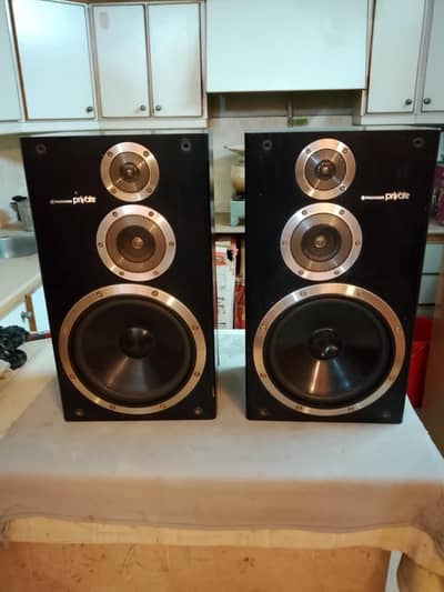 pioneer private speaker