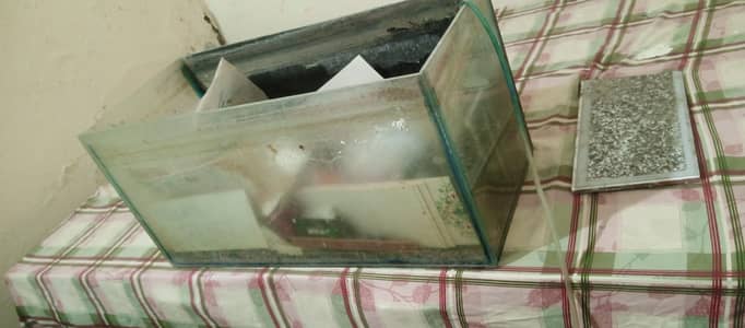 aquarium for sale or exchange with birds
