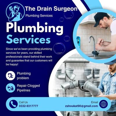 Professional plumber