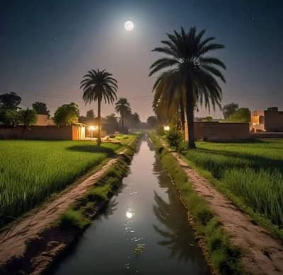 Helper cum Mulazim Required