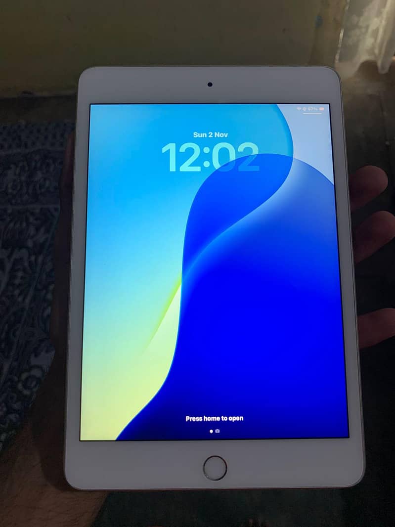 Ipad mini 5 0