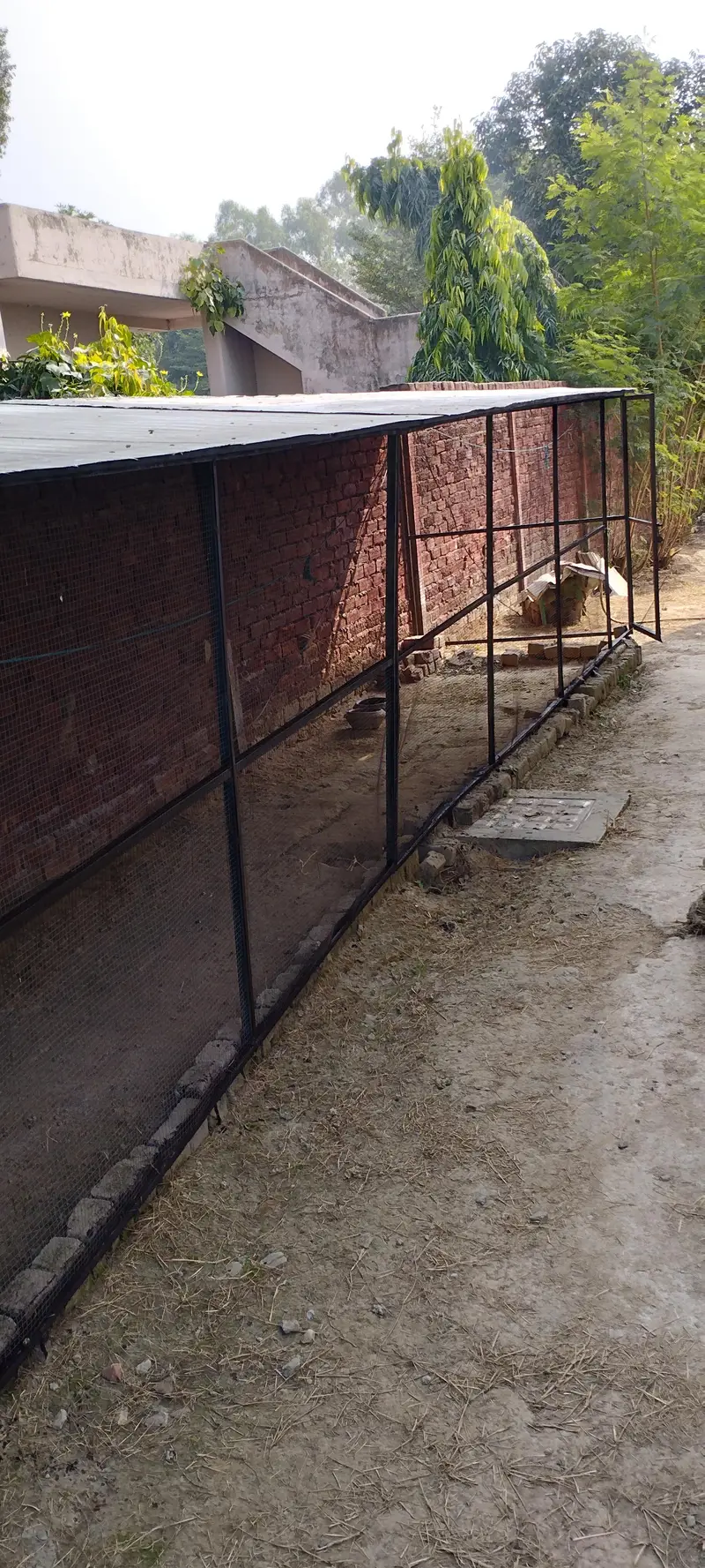 bird cage 30 ft