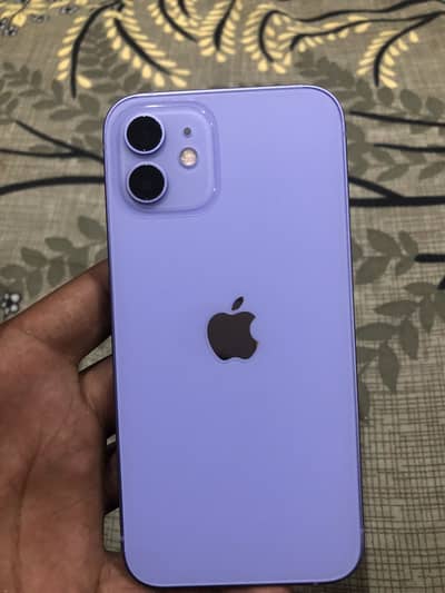 Iphone 12 256gb PTA approved