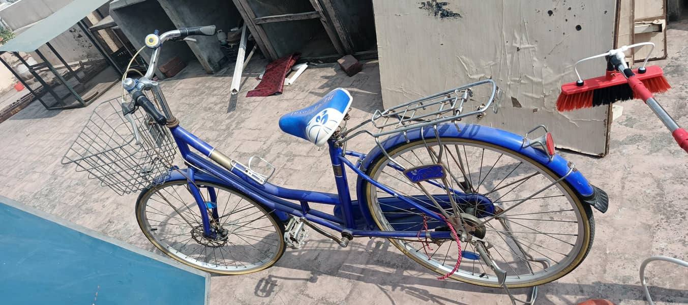 Chinese bicycle 0