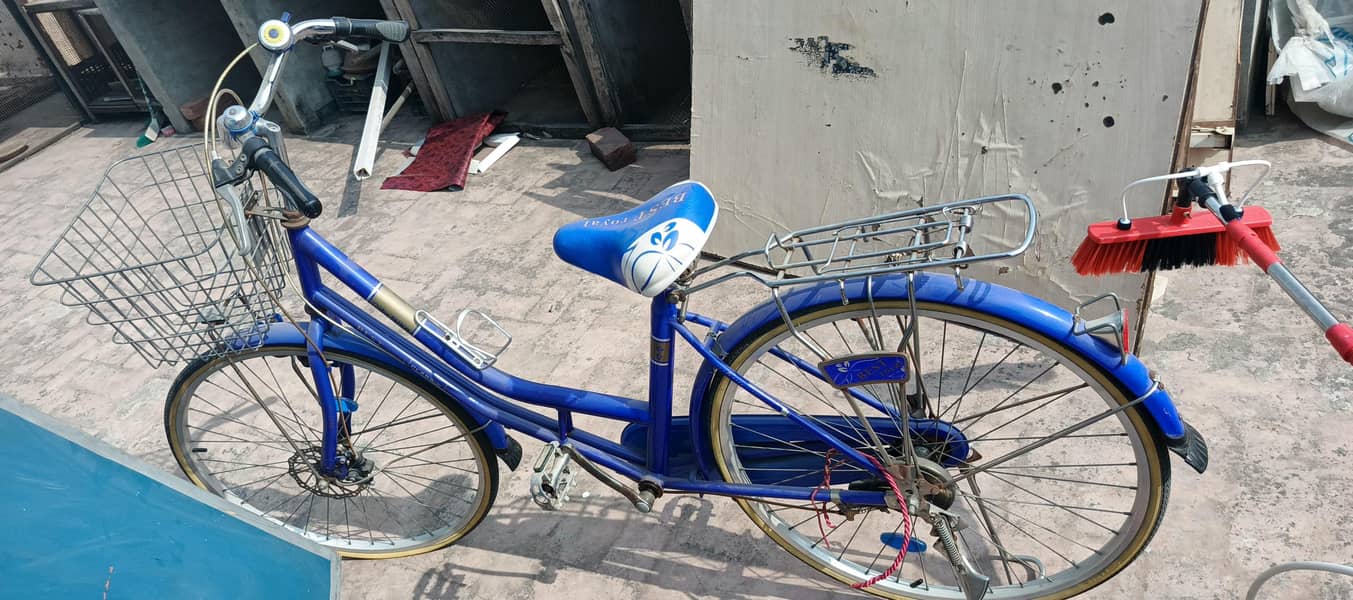 Chinese bicycle 1