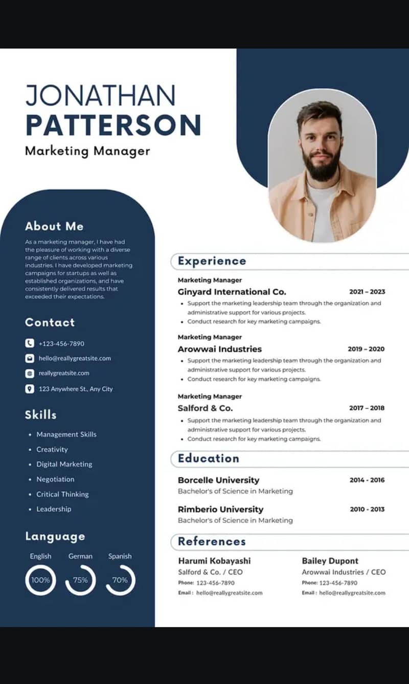 Professional CV Maker 2