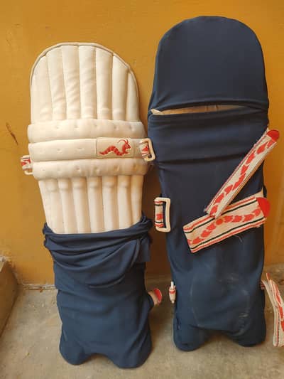 Cricket Kit for Adult