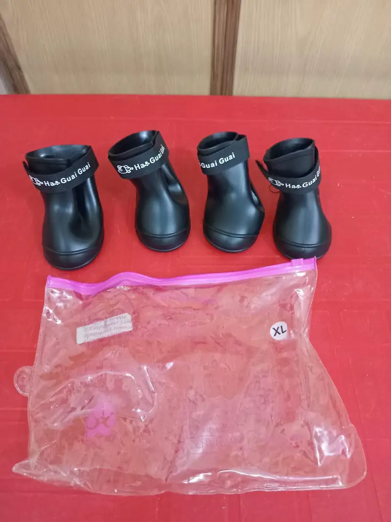 Pet Dog Shoes Set