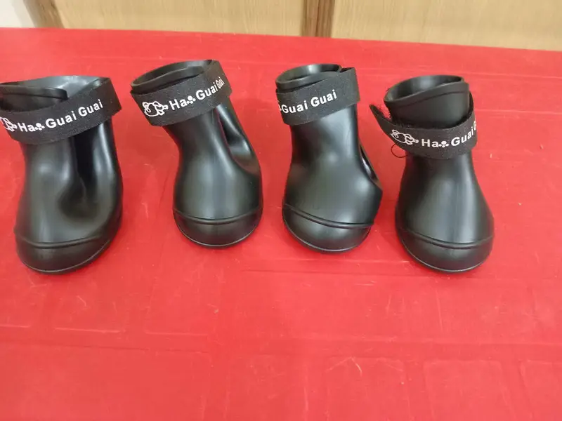 Pet Dog Shoes Set — photo 3