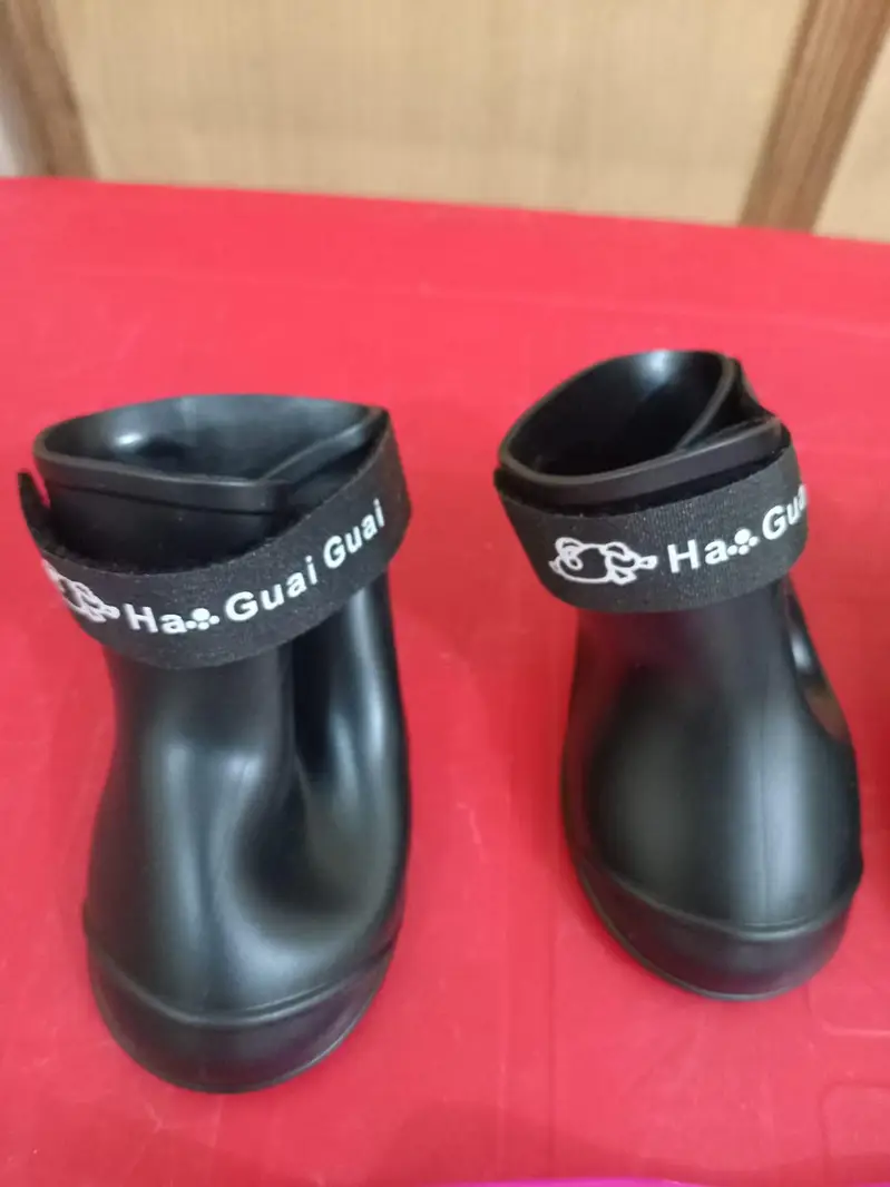 Pet Dog Shoes Set — photo 4