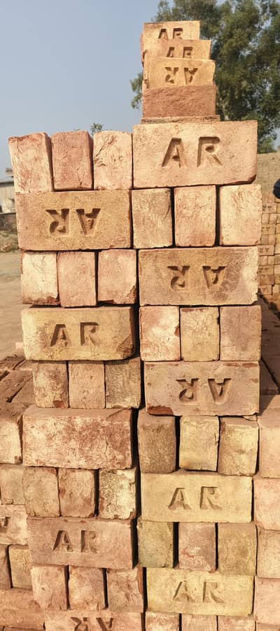 awal bricks and tail