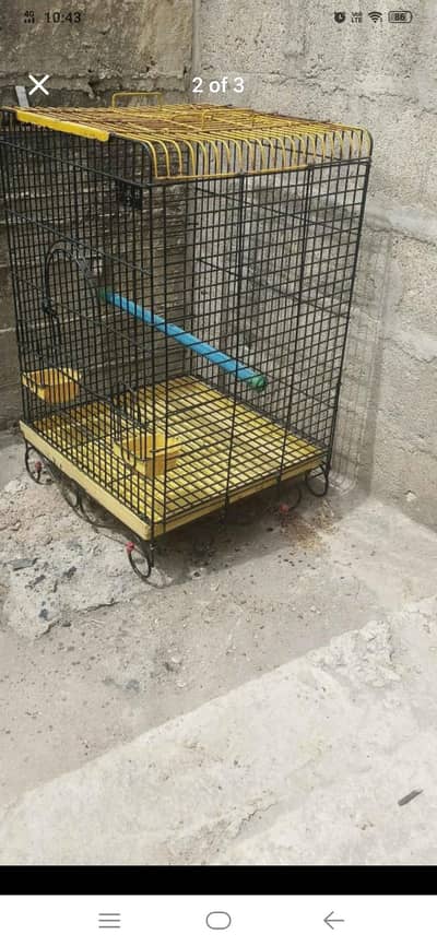Cage for parrots like grey Pahari and others