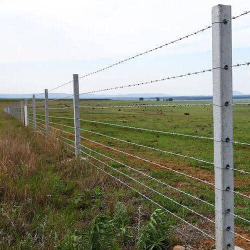 Chain Link Fence Jali Razor Wire Barbed Wire Security Wire Welded Mesh 6